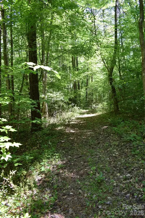 0 Floyd Blackwell Rd, Tryon, NC 28722 photo 22