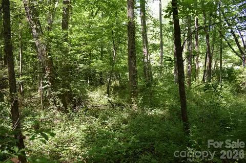 0 Floyd Blackwell Rd, Tryon, NC 28722 photo 11