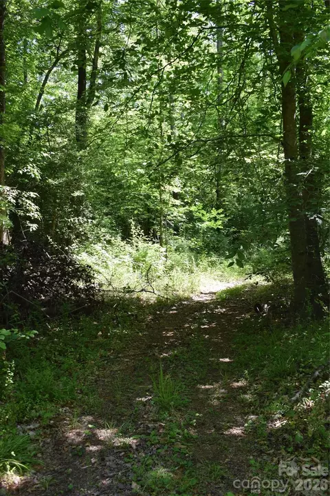 0 Floyd Blackwell Rd, Tryon, NC 28722 photo 5