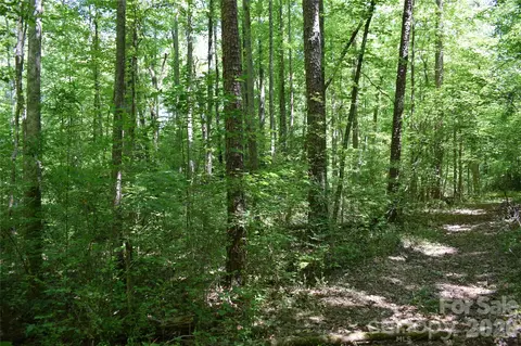 0 Floyd Blackwell Rd, Tryon, NC 28722 photo 23