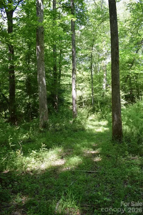 0 Floyd Blackwell Rd, Tryon, NC 28722 photo 19