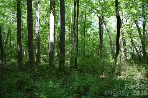 0 Floyd Blackwell Rd, Tryon, NC 28722 photo 15