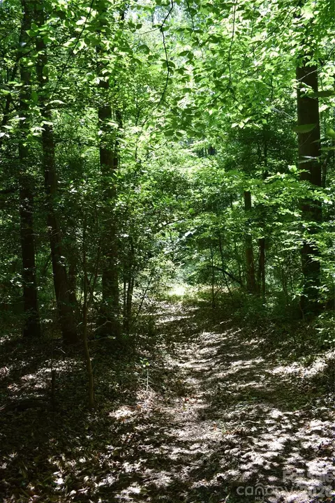 0 Floyd Blackwell Rd, Tryon, NC 28722 photo 3