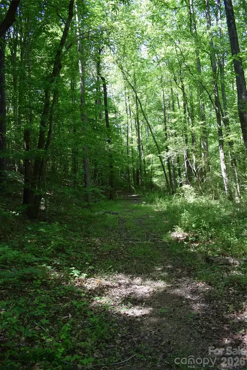 0 Floyd Blackwell Rd, Tryon, NC 28722 photo 14