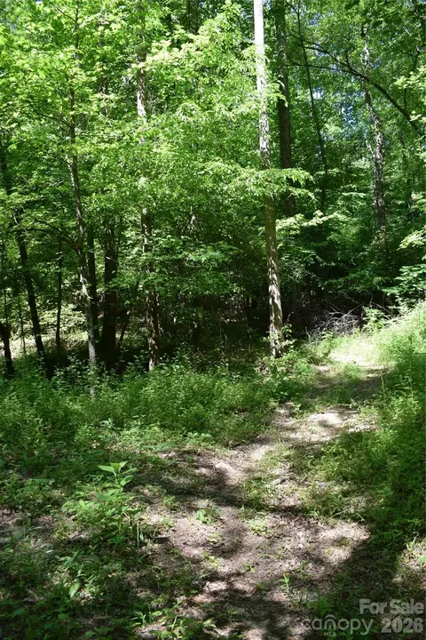 0 Floyd Blackwell Rd, Tryon, NC 28722 photo 6