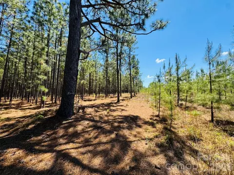 17 Ac Jc Barefoot Rd, Patrick, SC 29584 photo 9