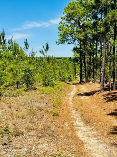 17 Ac Jc Barefoot Rd, Patrick, SC 29584 photo 11