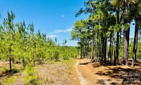 17 Ac Jc Barefoot Rd, Patrick, SC 29584 photo 12