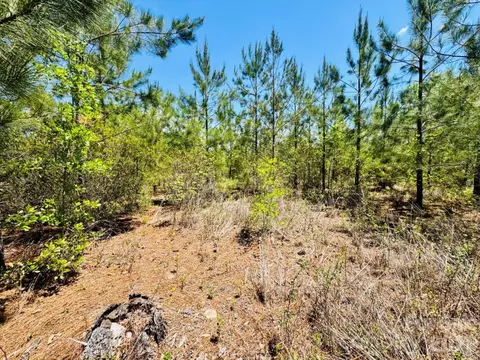 17 Ac Jc Barefoot Rd, Patrick, SC 29584 photo 7