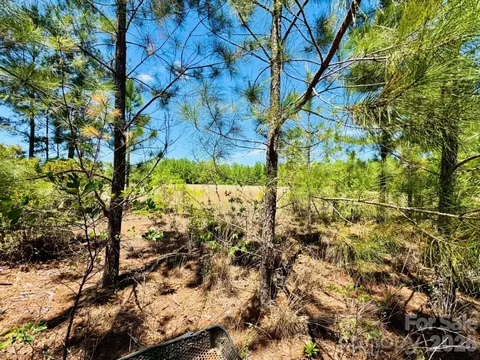 17 Ac Jc Barefoot Rd, Patrick, SC 29584 photo 6