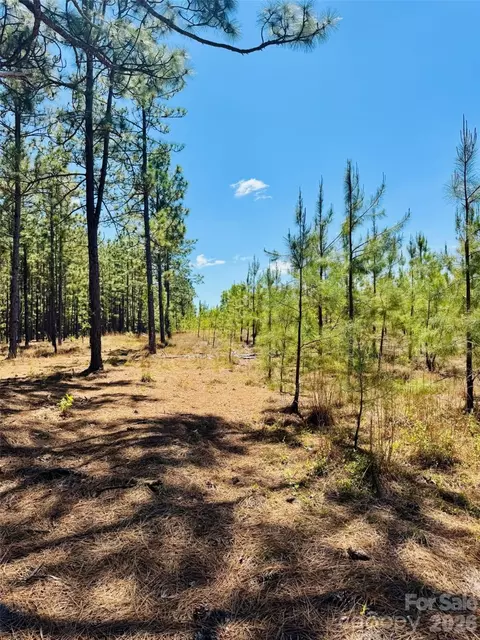 17 Ac Jc Barefoot Rd, Patrick, SC 29584 photo 8