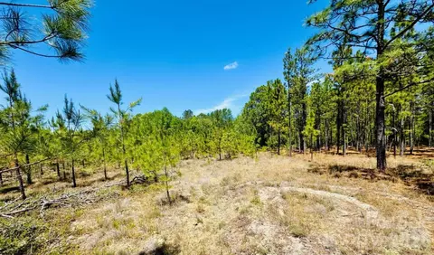 17 Ac Jc Barefoot Rd, Patrick, SC 29584 photo 10