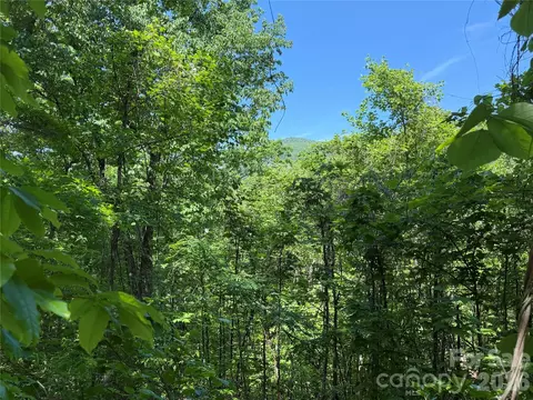 0 Buffalo Shoals 1 Rd #1, Lake Lure, NC 28746