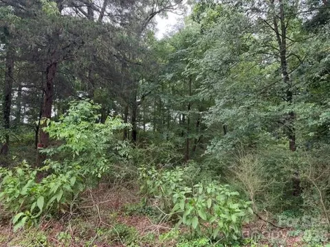 8838 Morgan Mill Rd, Monroe, NC 28110 photo 6