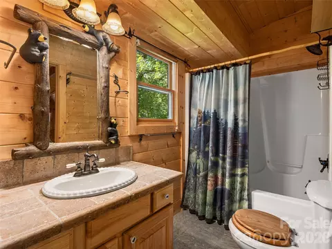 Bath - 413 Green Hills Rd, Mill Spring, NC 28756 photo 3 of 5