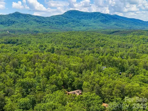 Other - 413 Green Hills Rd, Mill Spring, NC 28756 photo 13 of 13