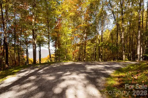 Exterior - 256 Haulback Way, Sylva, NC 28779 photo 8 of 10