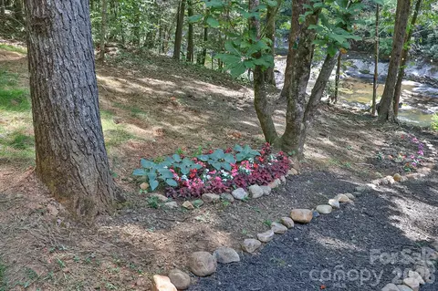 Other - 408 Stone River Dr, Traphill, NC 28685 photo 16 of 18