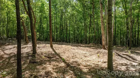 00 Stikeleather Rd, Hiddenite, NC 28636 photo 9