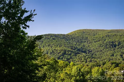 Other - 46 Nuthatch Ct, Fairview, NC 28730 photo 19 of 19