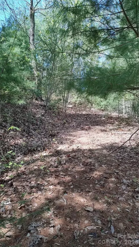 0 Staghorn Rd, Purlear, NC 28665 photo 6