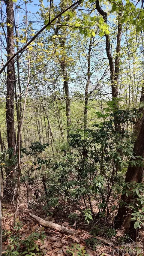 0 Staghorn Rd, Purlear, NC 28665 photo 4