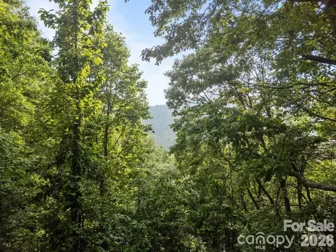 00 Granny Shepherd Rd, Mars Hill, NC 28754