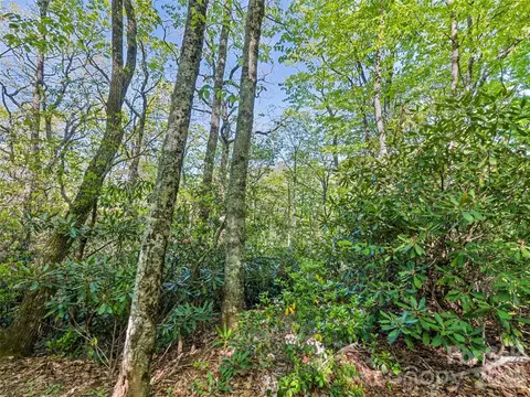 19 Sleepy Hollow Drive, Waynesville, NC 28786