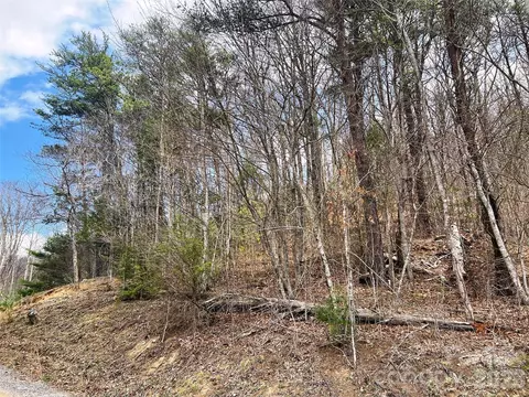 Moonbeam 101, Clyde, NC 28721 photo 17
