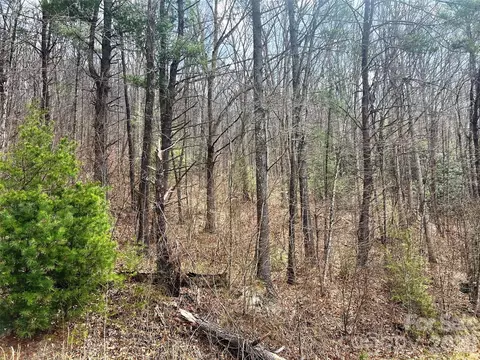 Moonbeam 101, Clyde, NC 28721 photo 15