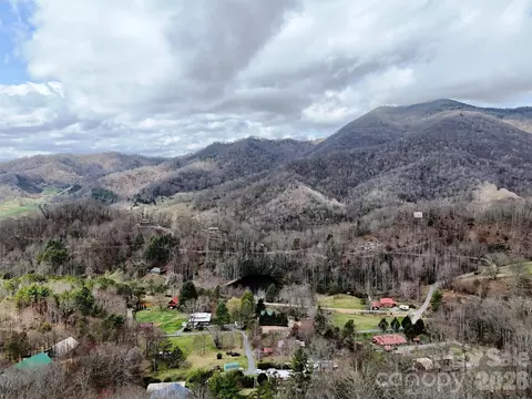 Moonbeam 101, Clyde, NC 28721 photo 4