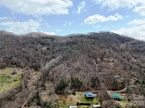 Moonbeam 101, Clyde, NC 28721 photo 20