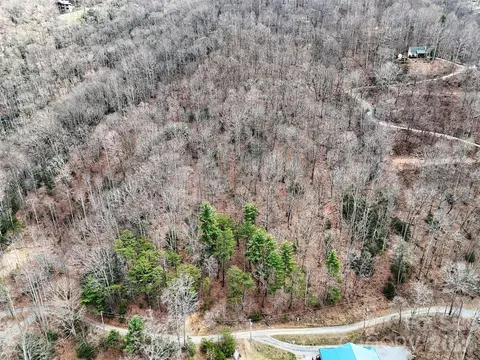 Moonbeam 101, Clyde, NC 28721 photo 6