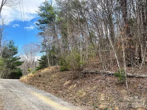 Moonbeam 101, Clyde, NC 28721 photo 18
