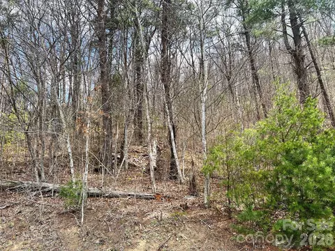 Moonbeam 101, Clyde, NC 28721 photo 16