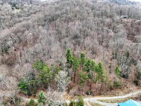 Moonbeam 101, Clyde, NC 28721 photo 8