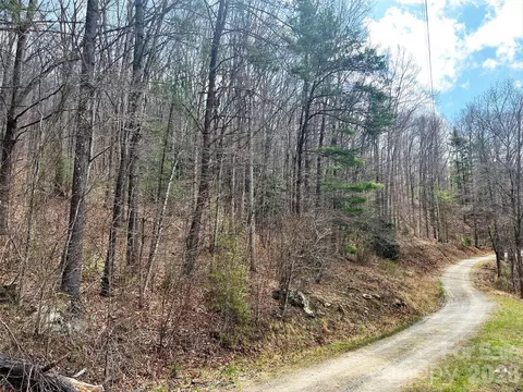 Moonbeam 101, Clyde, NC 28721 photo 14