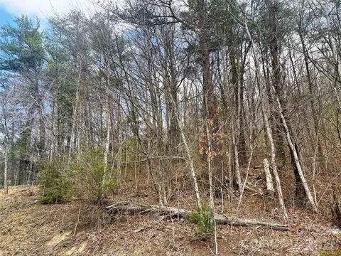 Moonbeam 101, Clyde, NC 28721 photo 12