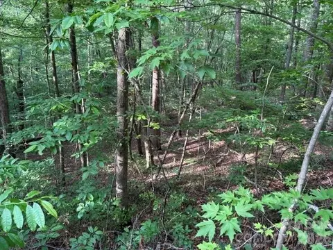 00 Cardinal Cir, Tryon, NC 28782 photo 5