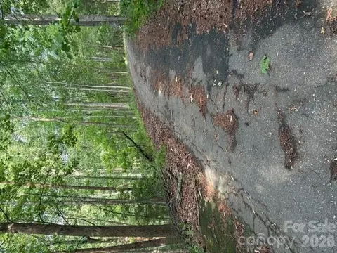 00 Cardinal Cir, Tryon, NC 28782 photo 6