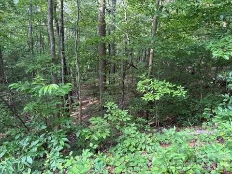 00 Cardinal Cir, Tryon, NC 28782 photo 4