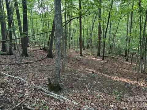 00 Cardinal Cir, Tryon, NC 28782 photo 2
