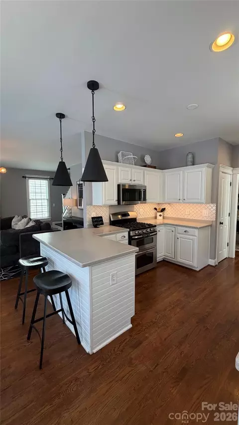 325 Elis Way, Fort Mill, SC 29708 photo 18
