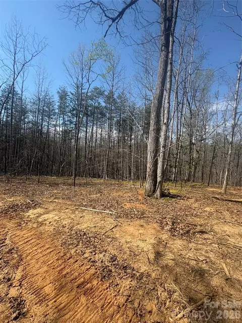 Avenida De Oro 3.1 Road #3.1, Morganton, NC 28655