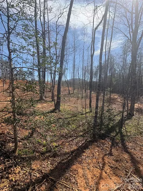 Avenida De Oro 2.1 Road #2.1, Morganton, NC 28655