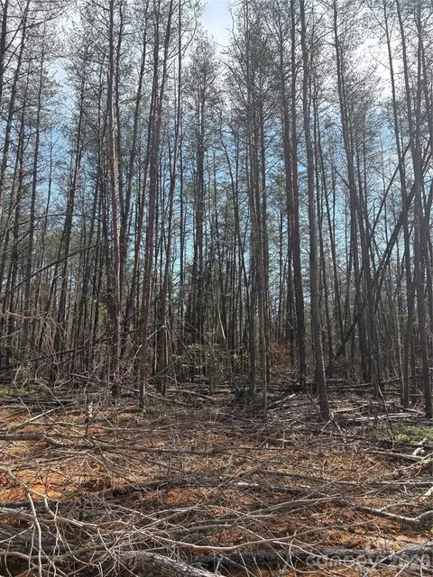 Avenida De Oro 2.2 Road #2.2, Morganton, NC 28655