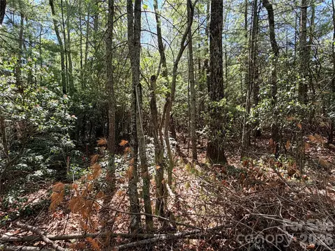 Nc 88 E Highway, Jefferson, NC 28640 photo 2