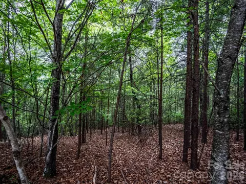 38 Deep Gap Farm E 38 Rd E #38, Mill Spring, NC 28756 photo 3