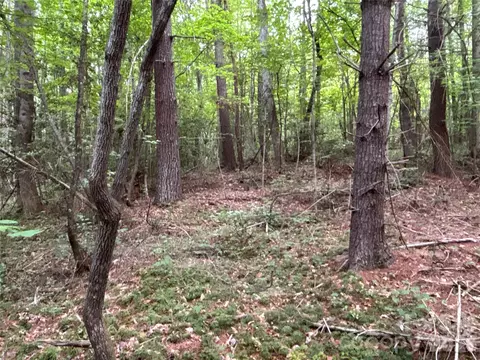 00 J Thomas Rd, Morganton, NC 28655 photo 8