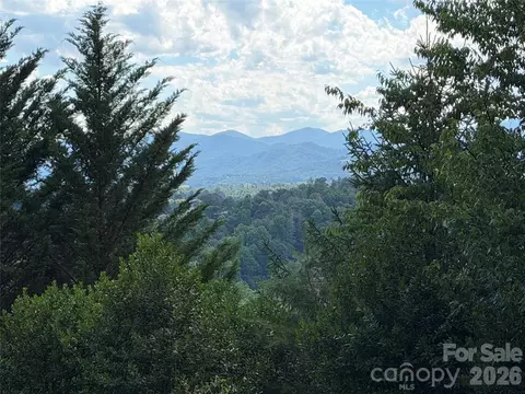 65 Buckle Rdg, Weaverville, NC 28787